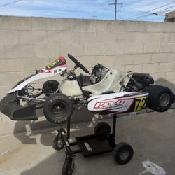 125cc Rotax Go kart - 75mph