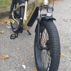 Electric Bike 