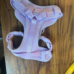 Dog Collar XS