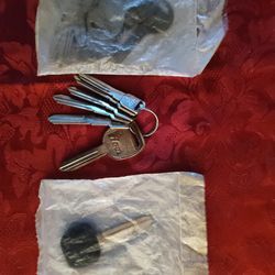 Uncut blank keys Toyota Camry With Transponder Chip