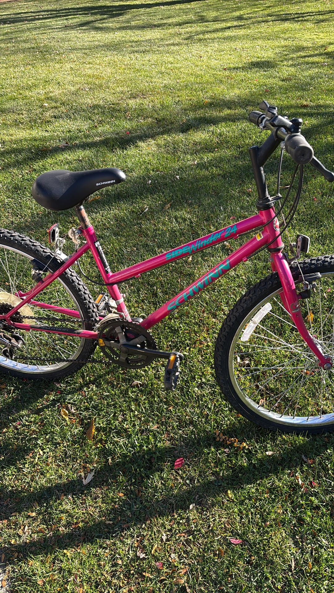 Bicycle Schwinn Side Winder 24 In Good Shape 