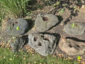 6 Decorative Planter Rocks