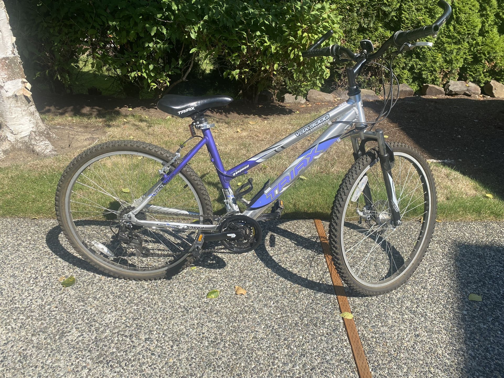 Women’s Bicycle Triax VBX3000