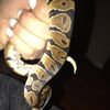 Nica31604@yahoo.com