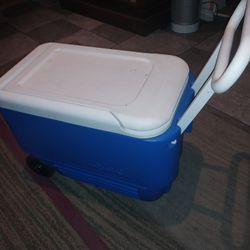 38QT IGLOO COOLER LIKE NEW 