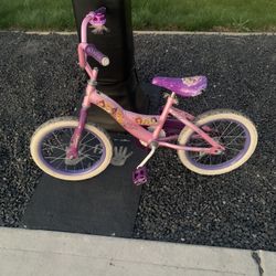 Disney Princess Bike Kids