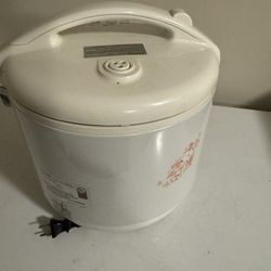 Tiger Rice Cooker /Warmer
