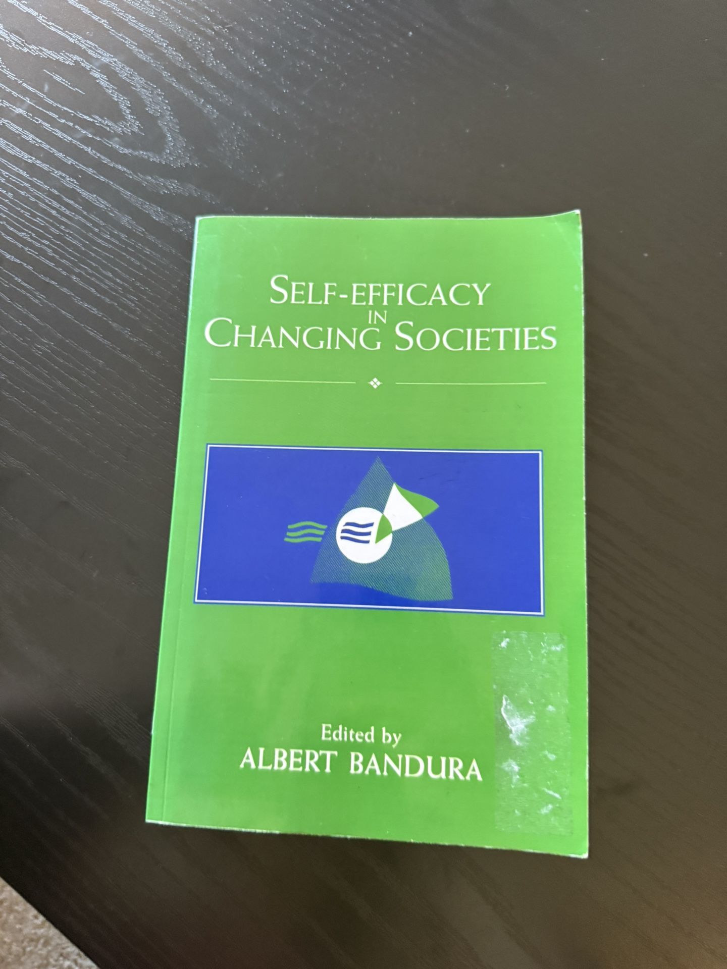 Self-Efficacy In Changing Societies