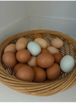 Free range - soy & corn free eggs
