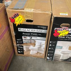 Glacier Bay Toilet Bowl