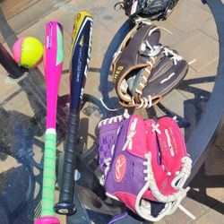 Baseball Bats and Gloves