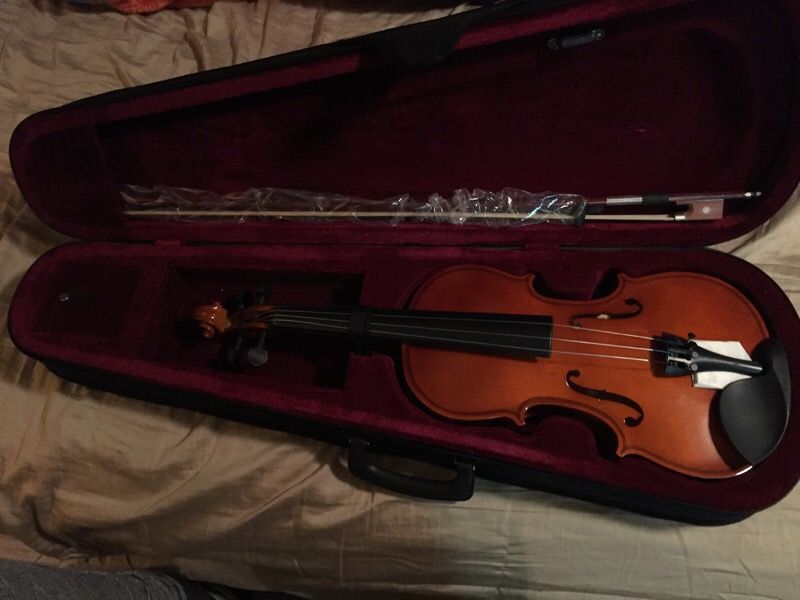 Violin