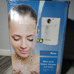 Thermoflow 2.5 Gallons 120 Volt Corded Electric Mini Tank Water Heater, Eliminate Time for Hot Water, Point of Use Water Heater