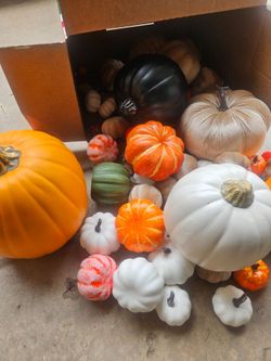 Assorted Decorative Pumpkins