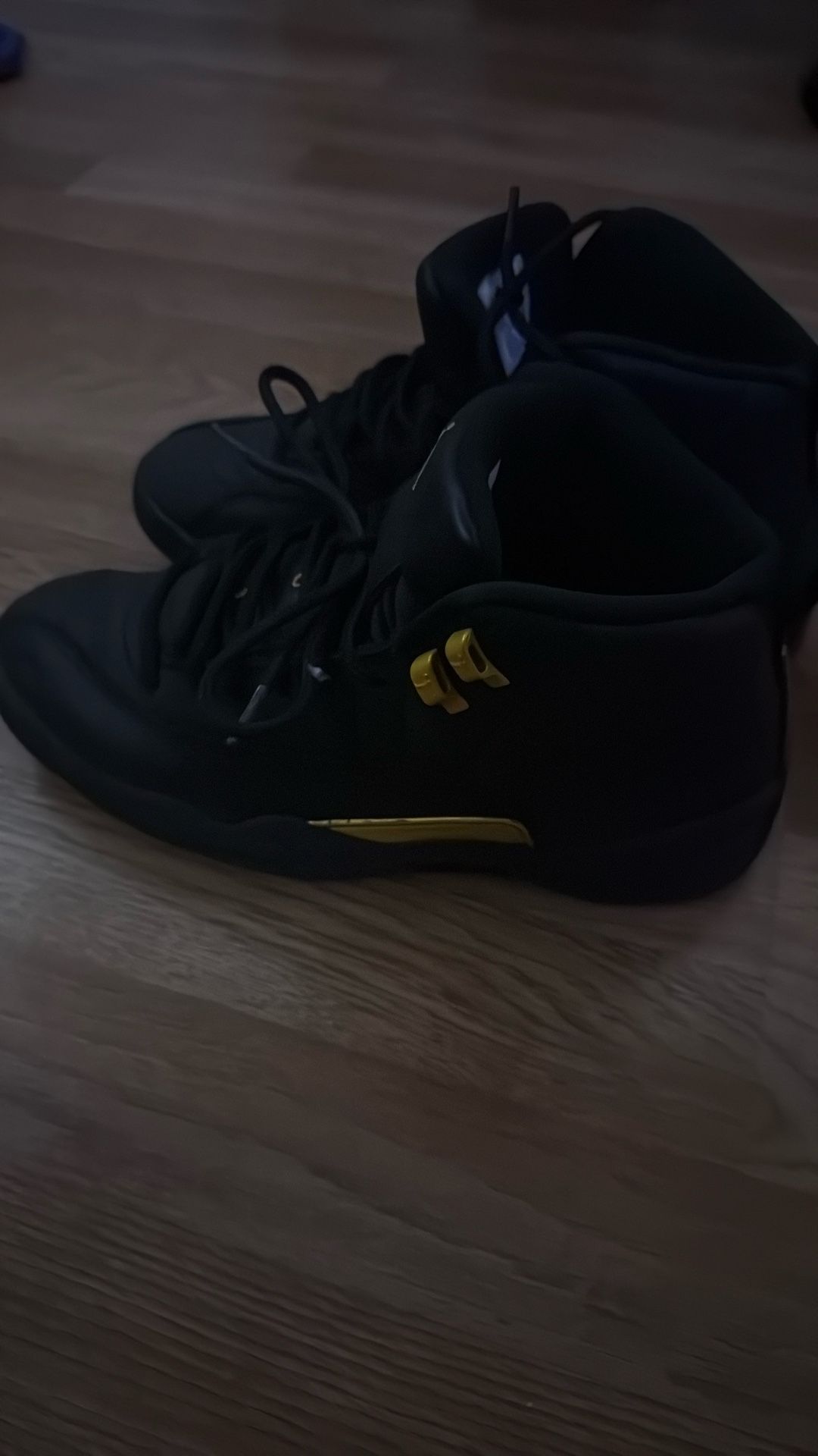 jordan 12