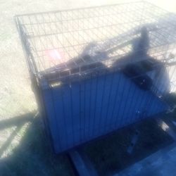 Dog Pen