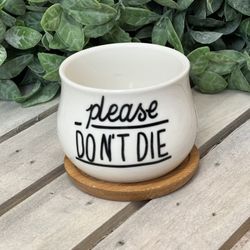 Funny Succulent Ceramic Pots