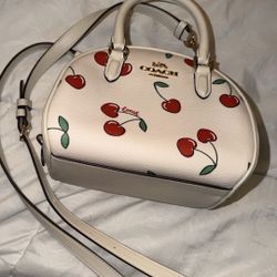 Coach Cherry Purse
