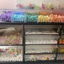 Bracelet Beads And Organizer 