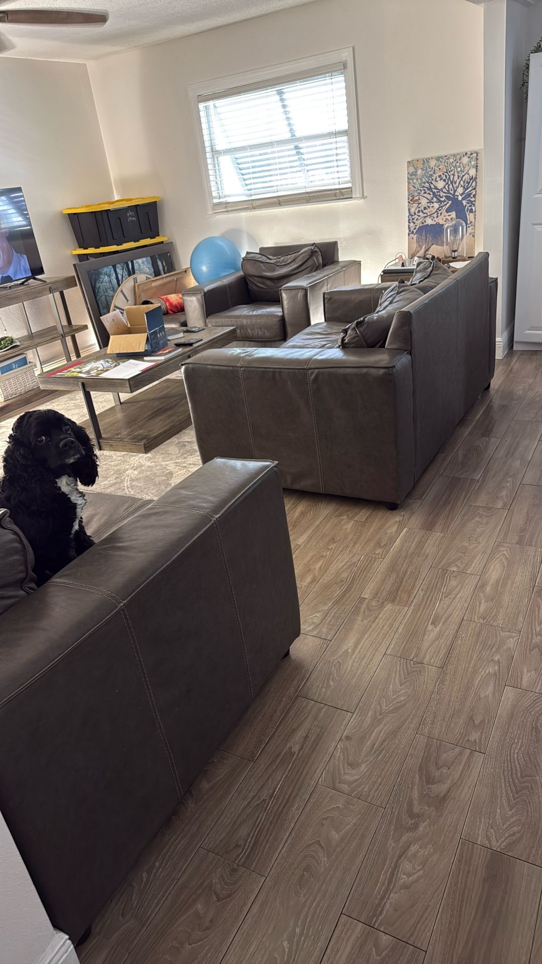 Ashley Leather Dark gray Farm House