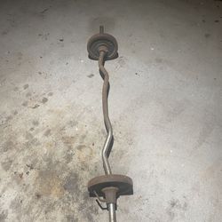 Curl Bar With Weight Plates 