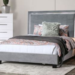 Brand New Grey Modern Style Eastern King Bed Frame