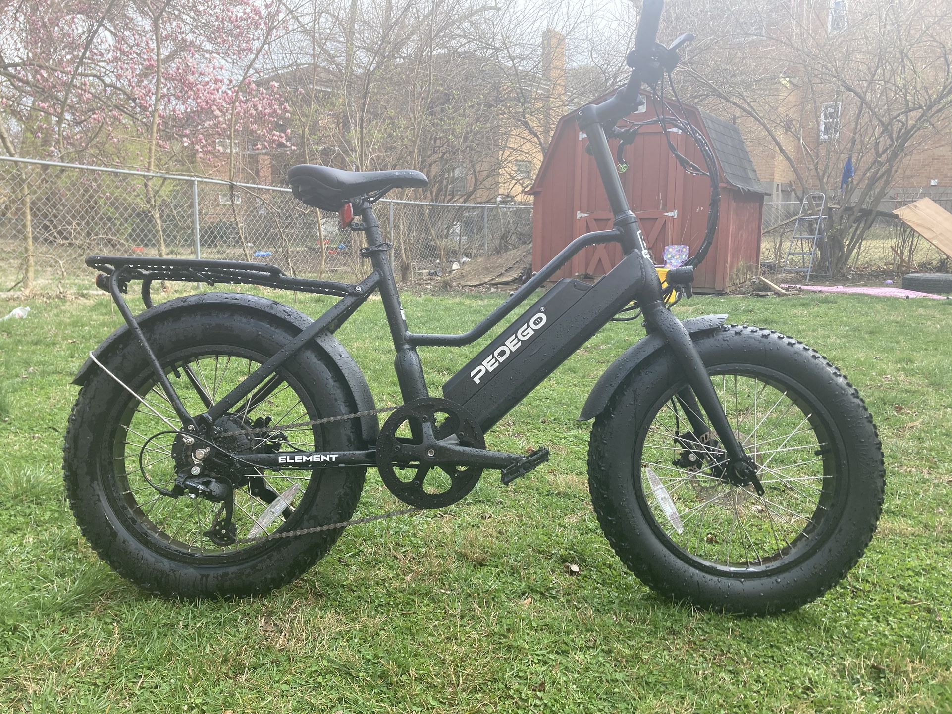 Pedego Electric Bike