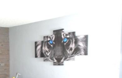 5 Piece Tiger Canvas Wall Art – $60