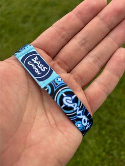 Bass Canyon 3 day Wristband