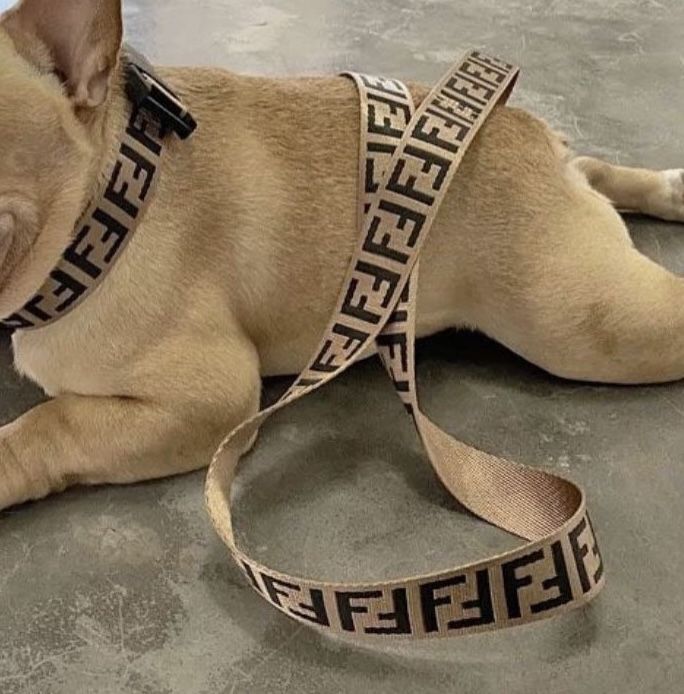  FF Designer Dog Leash & Collar Set