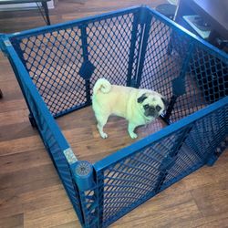 Dog Gate (or Baby Gate) 16.5 Foot Pet Yard 