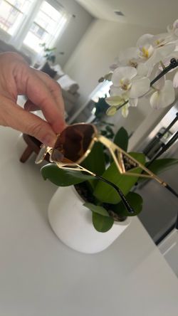 Parada sunglasses