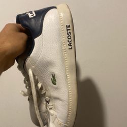 Lacoste Shoes 