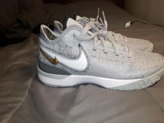 Nike Zoom LeBron NXXT Gen Wolf Grey Metallic Gold