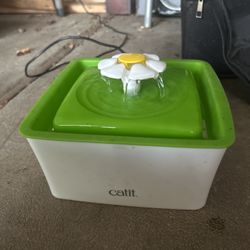 Cat Fountain