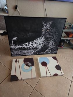 Paintings