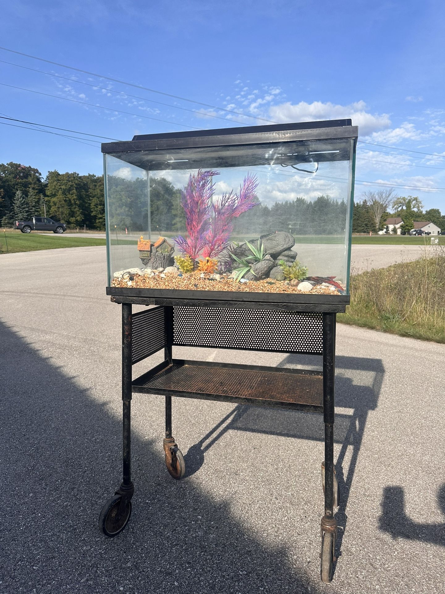 Fish Tank Aquarium 29 Gallon with Stand – $50