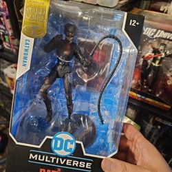 Dc Multiverse Catwoman