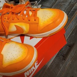 Nike Dunks