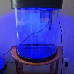 Fish Tank and Others