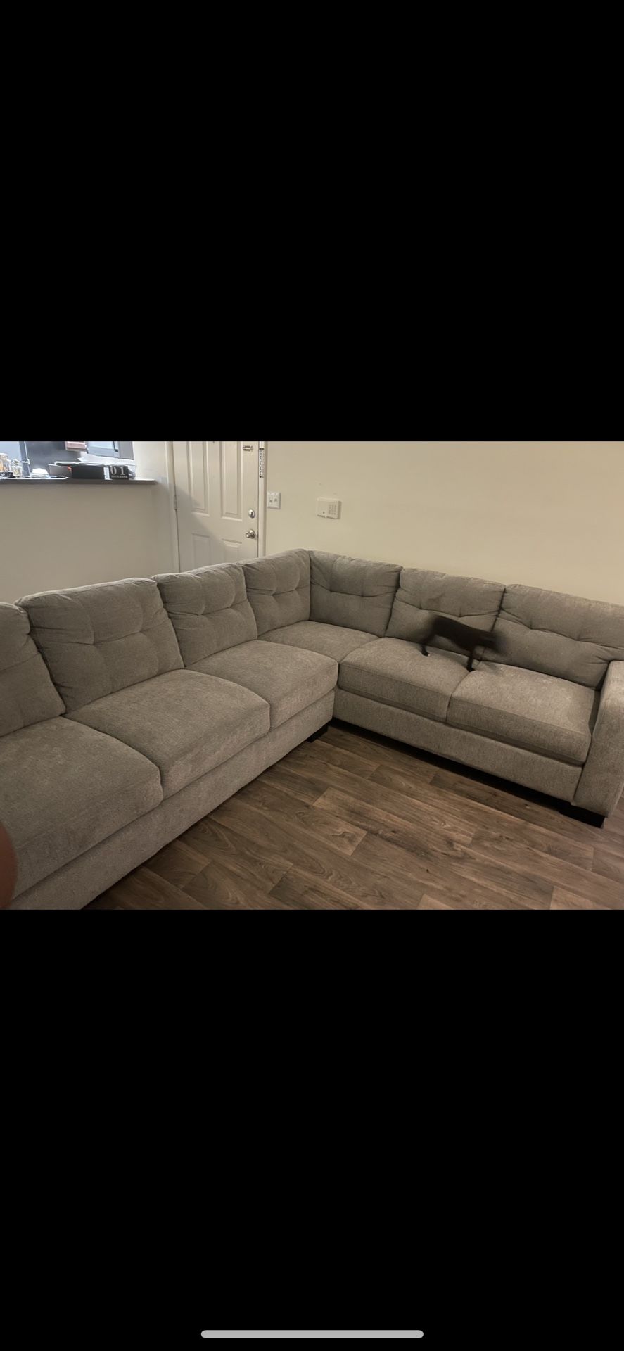 Grey Sectional Couch