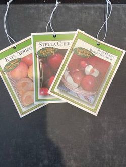 Peaches, pears, plums, apricots, nectarines