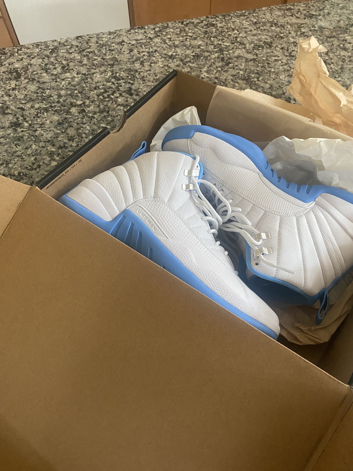 Jordan 12s Brand New blue and white 9.5