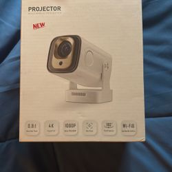 Projector
