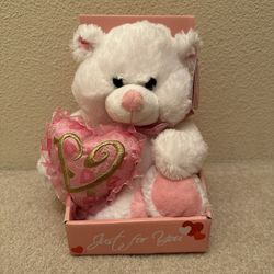 Brand New Valentine Bear.  Never removed from the box and still in original box.  Great condition.  Pick up in Torrance only.
