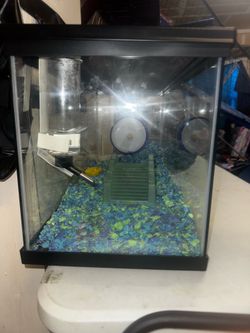 Hamster Tank