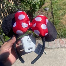 Mickey Ears