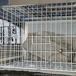 Cage 