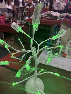 Lighted Money Tree