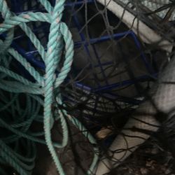 Free Crab Trap
